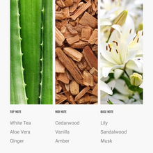 Day Dream Luxury Oil Inspired by: Westin Hotels®